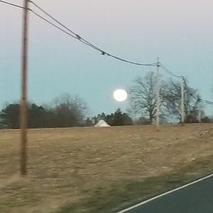 Meet your Posher, Ricky